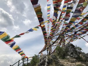 North India Privatedriver Himalaya